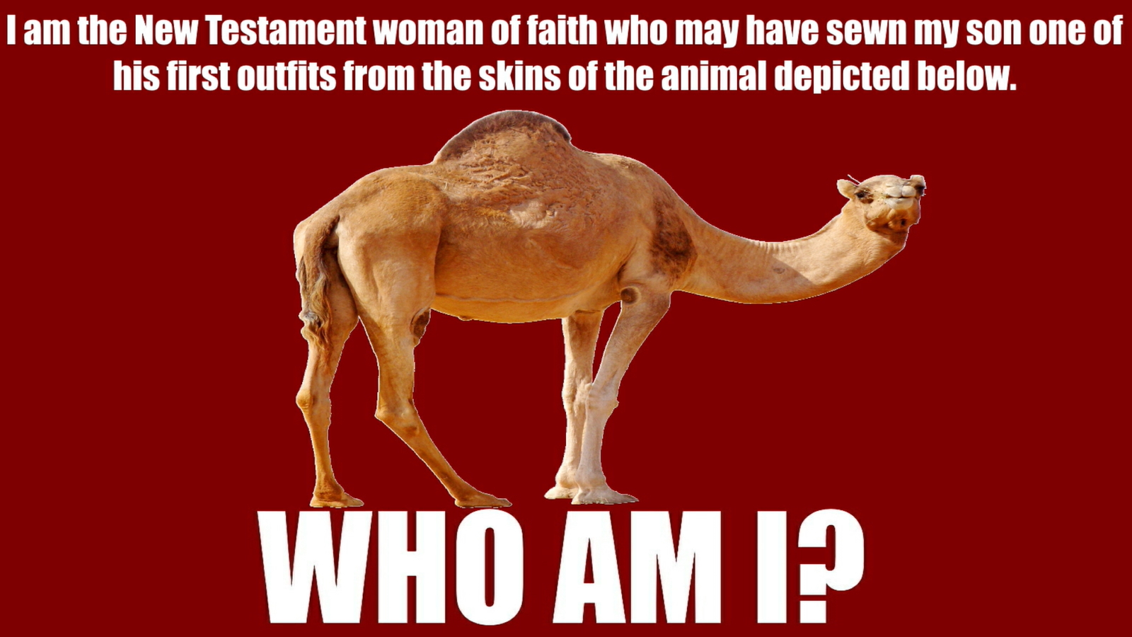 RIDDLE 6